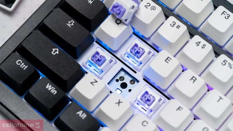 Thiết kế, đèn nền của bàn phím cơ DareU EK75 Pro White Black RGB