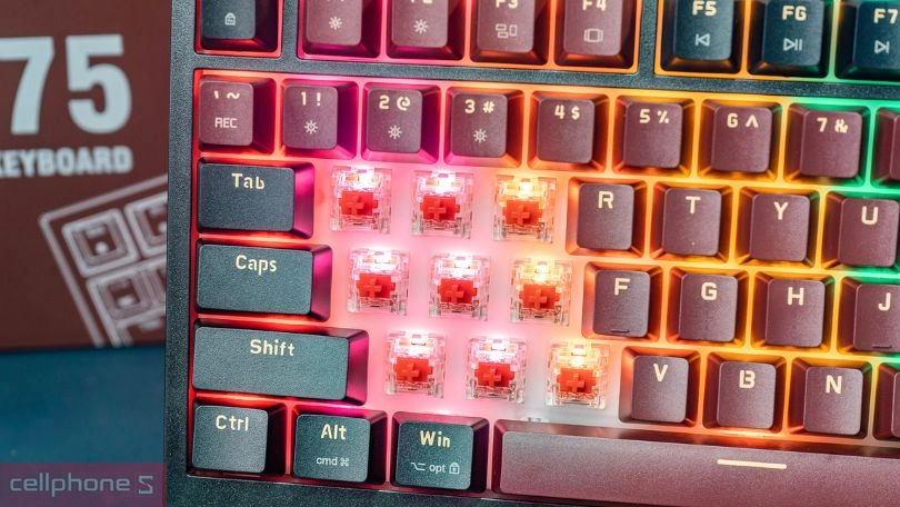 Thiết kế bàn phím E-Dra EK375 Alpha Brown Switch