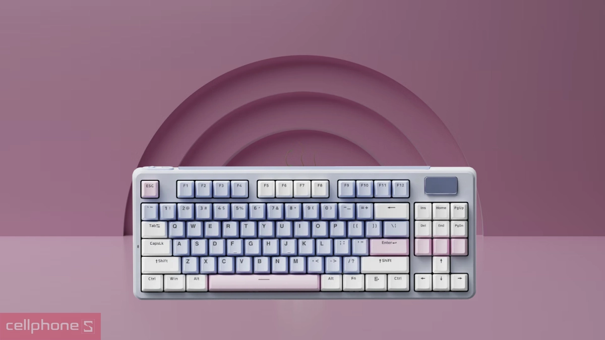 Thiết kế bàn phím cơ Rapoo V700DIY-87 hồng trắng