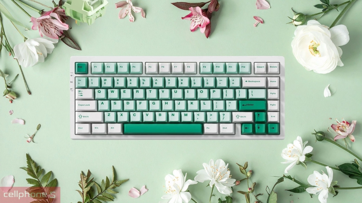 Keycap PBT Double-Shot bền bỉ trên Bàn phím cơ không dây MCHOSE G75 Pro Tri-mode Green
