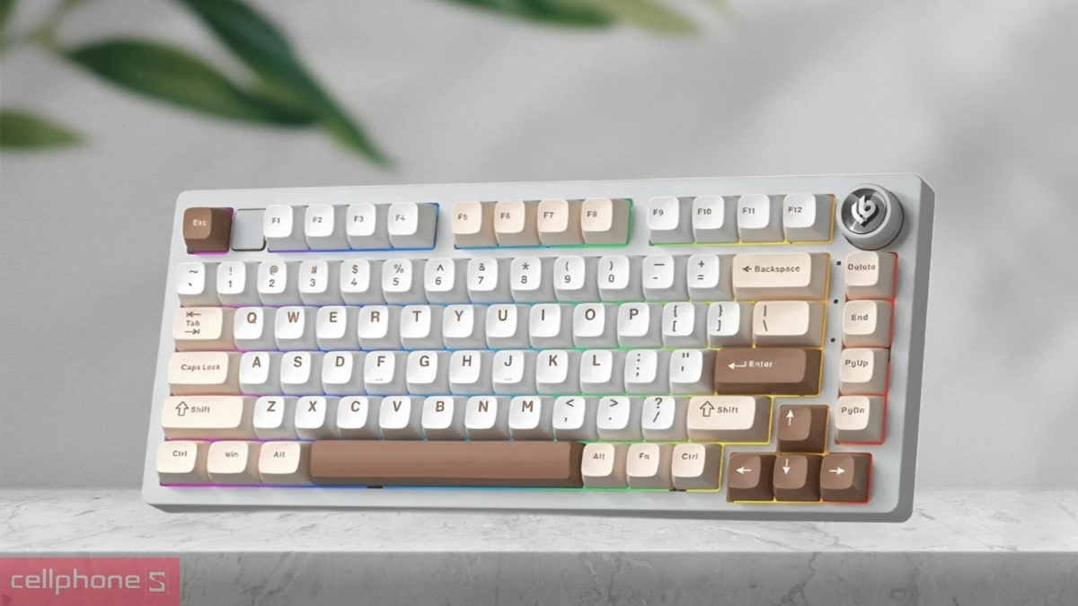 Keycap cao cấp và switch tuyến tính