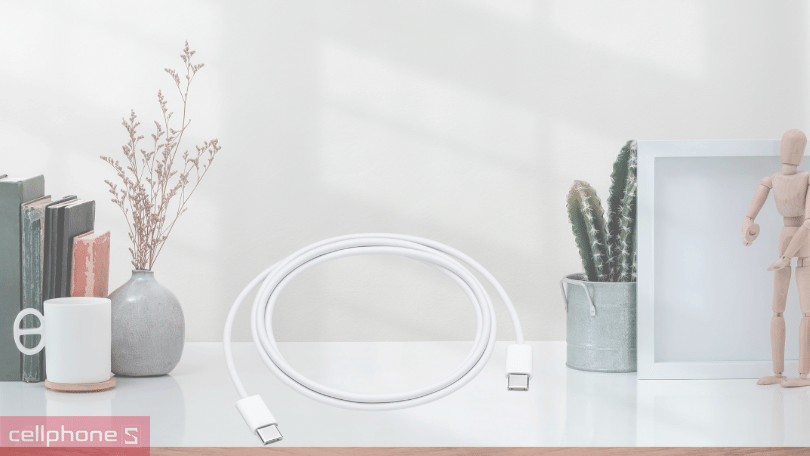 Cáp Type-C to Type-C Apple MM093ZA 1M