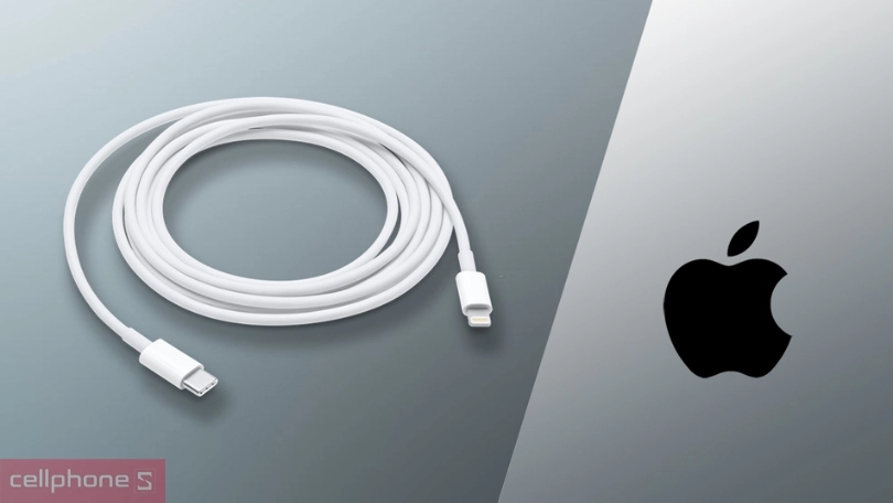 Dây sạc Type C bao nhiêu tiền?