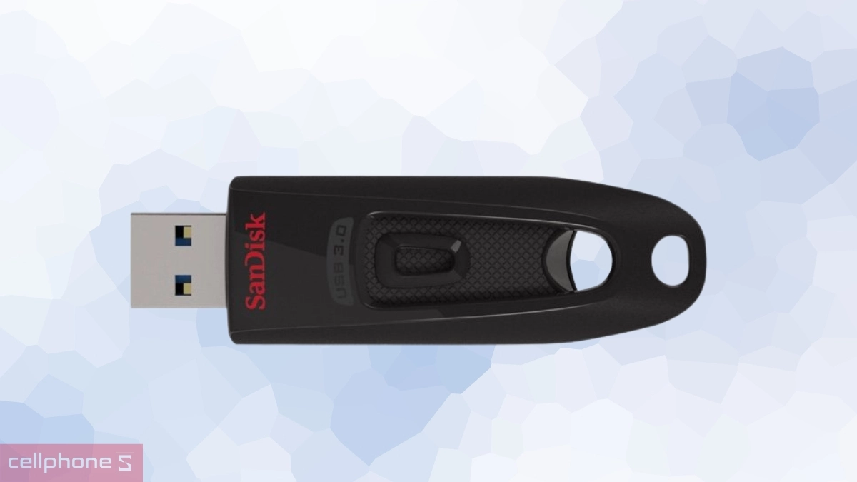 USB SanDisk