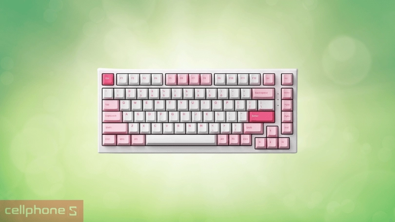 Thiết kế bàn phím cơ AKKO MonsGeek MG75 Prunus Lannesiana (Cream Blue Switch) 