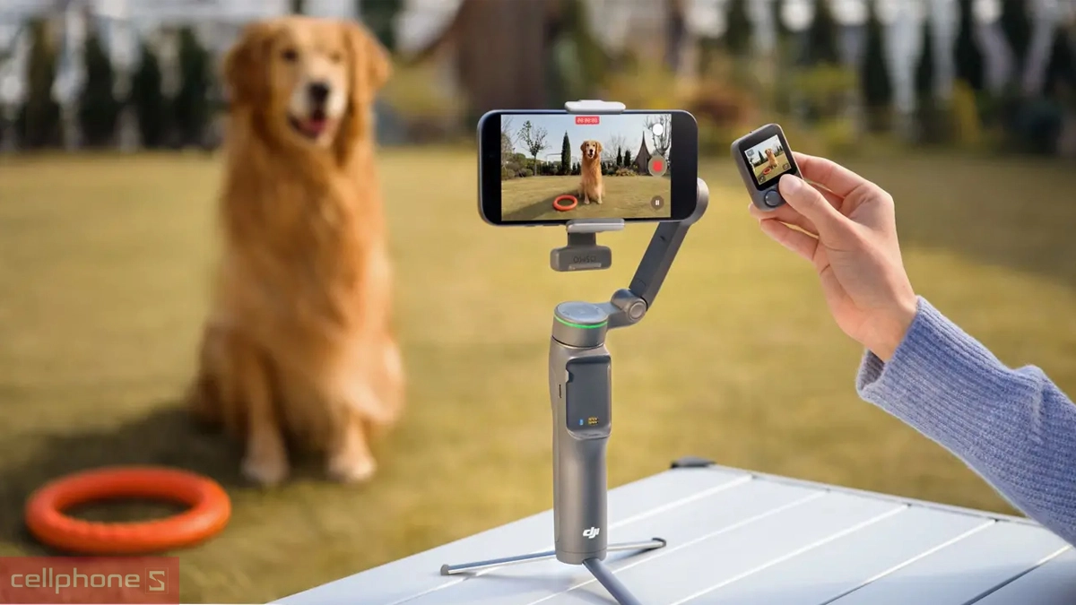 Bộ sản phẩm DJI OM 8P Advanced Tracking Combo