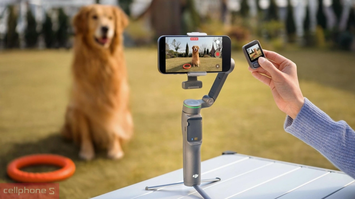 Sản phẩm DJI Osmo Mobile 8P Advanced Tracking Combo
