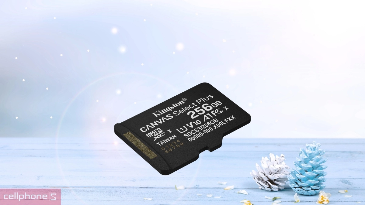 Dung lượng 256GB và tốc độ đọc lên đến 150MB/s