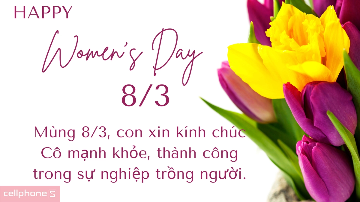 Lời chúc trang trọng, tri ân cô giáo