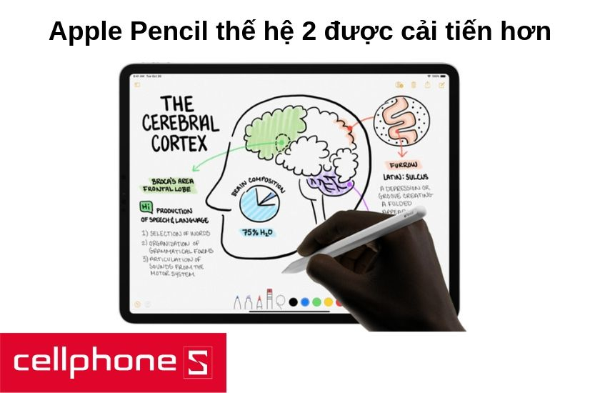 Apple Pencil thế hệ 2 đã được cải tiến lớn và liền mạch