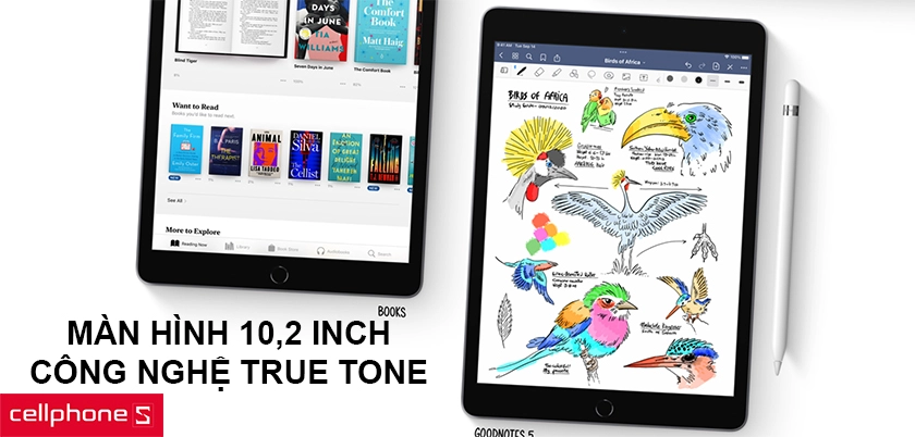 Màn hình kích thước 10,2 inch, công nghệ True Tone