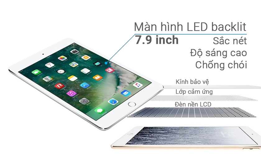 Màn hình Retina 7.9 inch (2.048x1.536), Touch ID và chế độ Split View