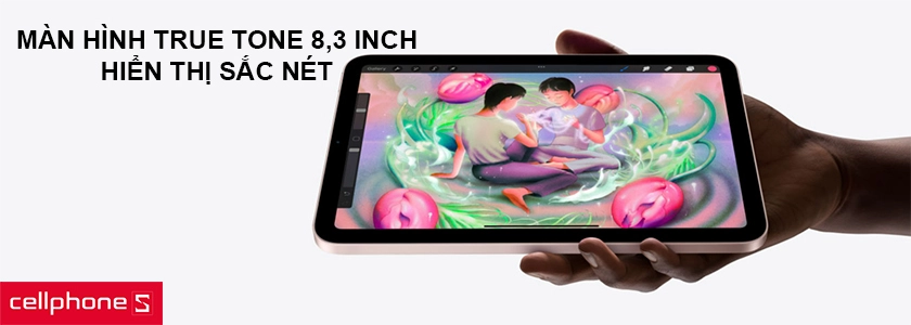 Màn hình True Tone 8,3 inch, hiển thị sắc nét