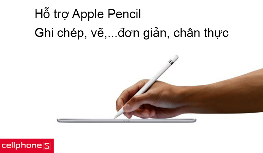 Hỗ trợ Apple Pencil cho những trải nghiệm ghi chép tuyệt vời