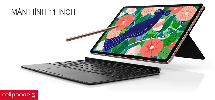 Màn hình 11 inch, tấm nền OLED