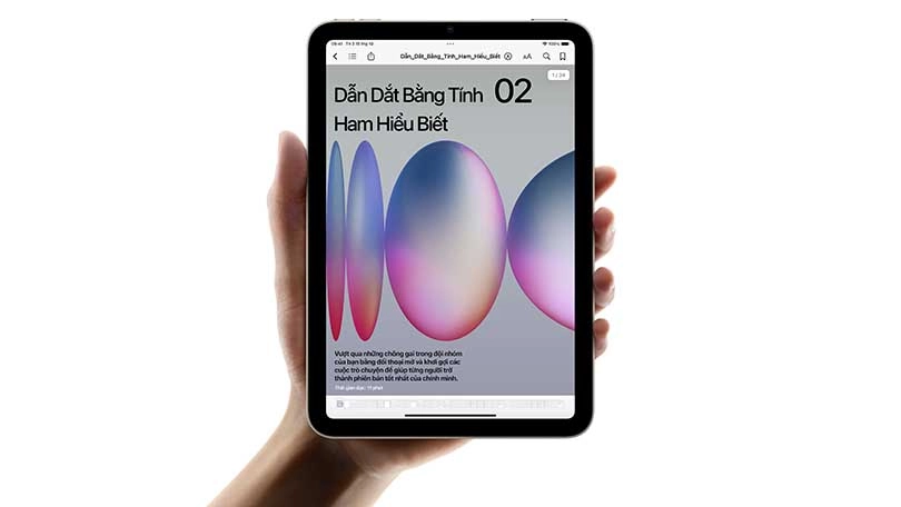 iPad Mini
