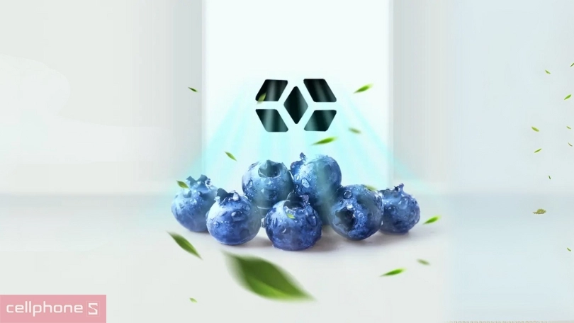 Hiệu quả bảo quản thực phẩm của tủ lạnh Aqua AQR-D160FA(BS) 130 lít