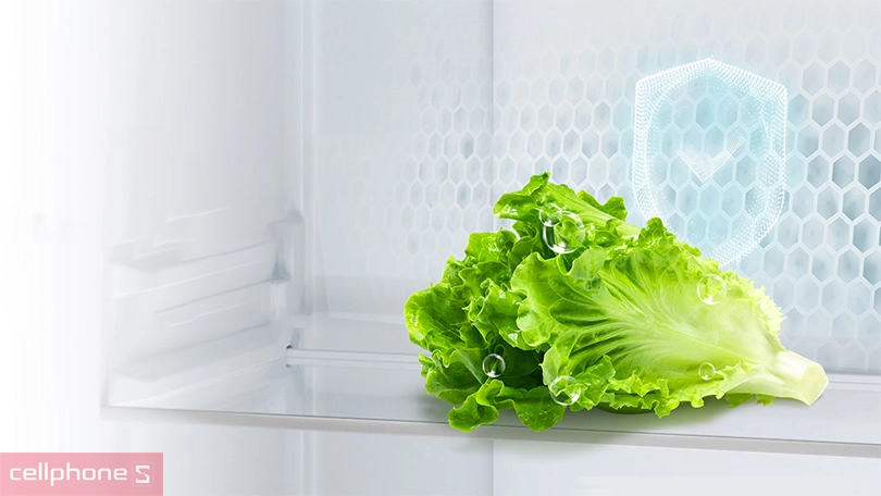 Công nghệ tủ lạnh Aqua AQR-M466XA(CBC) 410 lít