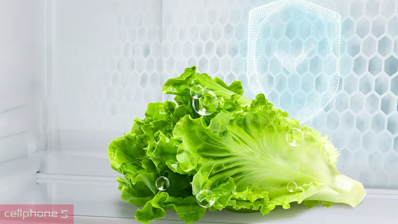 Khả năng duy trì đô tươi trên tủ lạnh Aqua AQR-M466XA(GB) 410 lít 