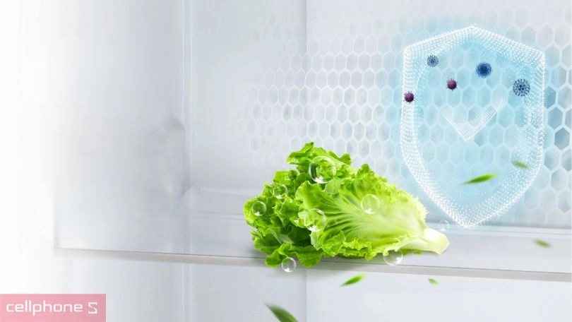 Công nghệ kháng khuẩn của tủ lạnh Aqua AQR-M560XA(GL) 469 lít