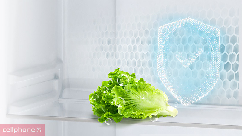 Công nghệ tủ lạnh AQUA AQR S552XA CBC 490 lít