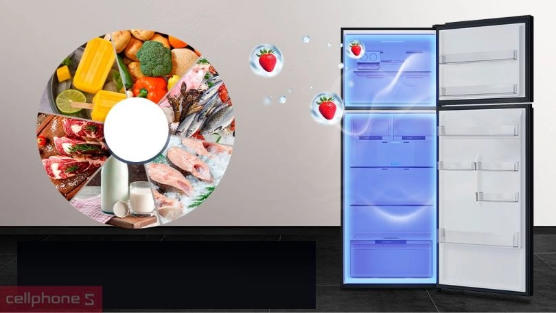 Công nghệ bảo quản, tiết kiệm điện của tủ lạnh Aqua AQR-T518FA(SL) 455 lít