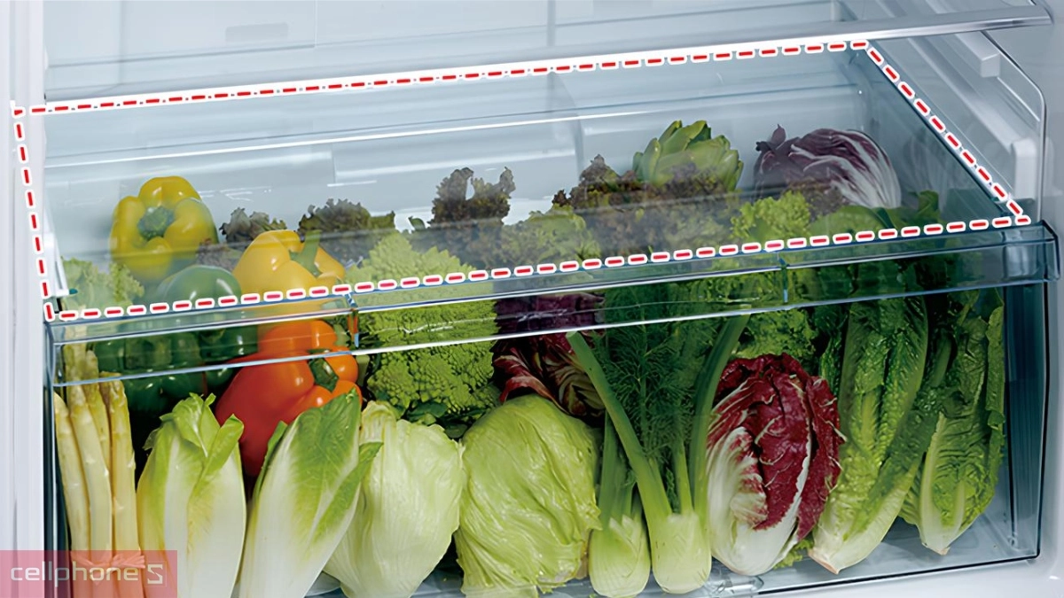 Khả năng bảo quản thực phẩm tối ưu của tủ lạnh Hitachi Inverter 450 lít (R-FG560PGV8X GBK)