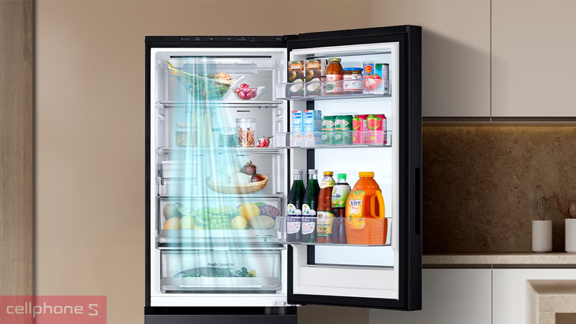 Khả năng bảo quản của tủ lạnh LG Inverter Instaview LBB33BLMAI 340 Lít