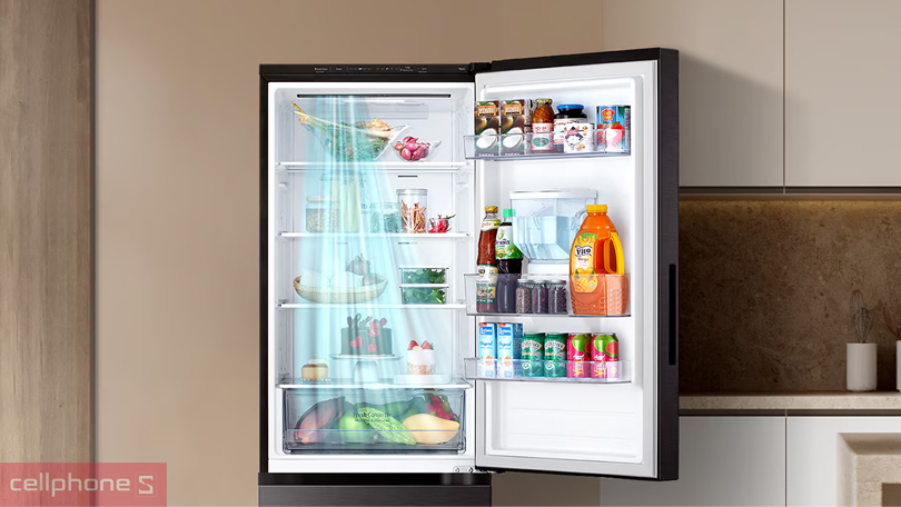 Công nghệ làm lạnh hiện đại của tủ lạnh LG Inverter LBD33BLM 332 Lít