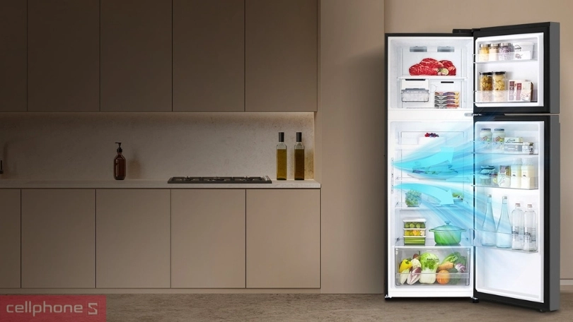 Dung tích tủ lạnh LG Inverter LTB46BLG 461 lít