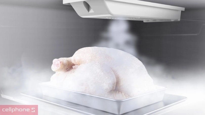 Ngăn đông lạnh lớn với các ngăn riêng biệt