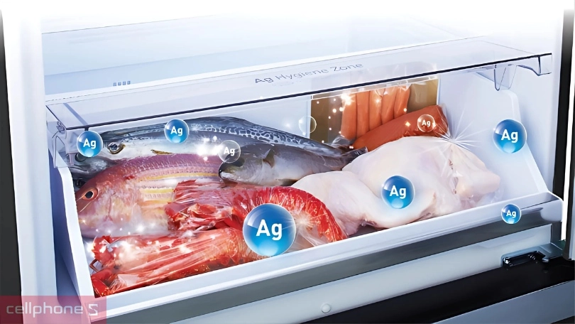 Tủ lạnh Panasonic ngăn đá trên