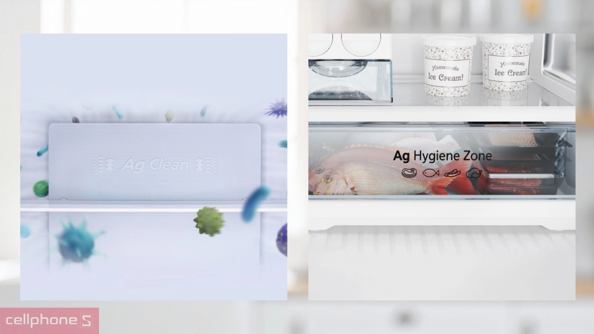 Thiết kế ngăn đá tủ lạnh Panasonic Inverter 366 lít NR-TL381GVKV