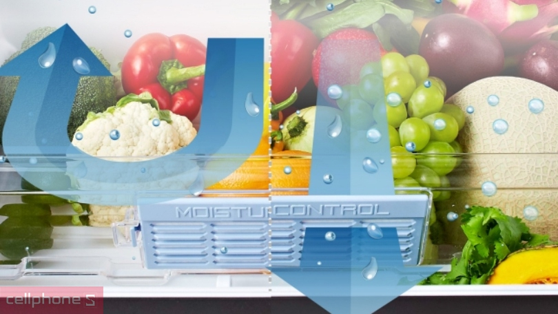 Khả năng bảo quản của tủ lạnh Panasonic Inverter Multi Door NR-F603GT-X2 589 lít