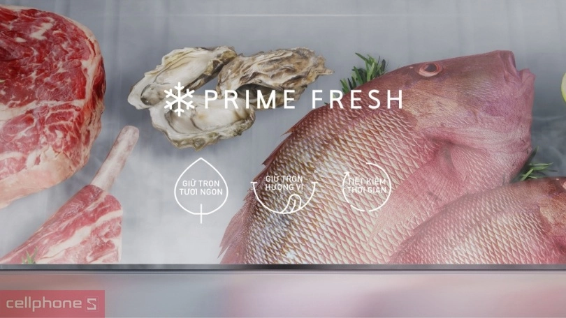 Tính năng kháng khuẩn của tủ lạnh Panasonic Inverter NR-BV281BGMV 255 lít