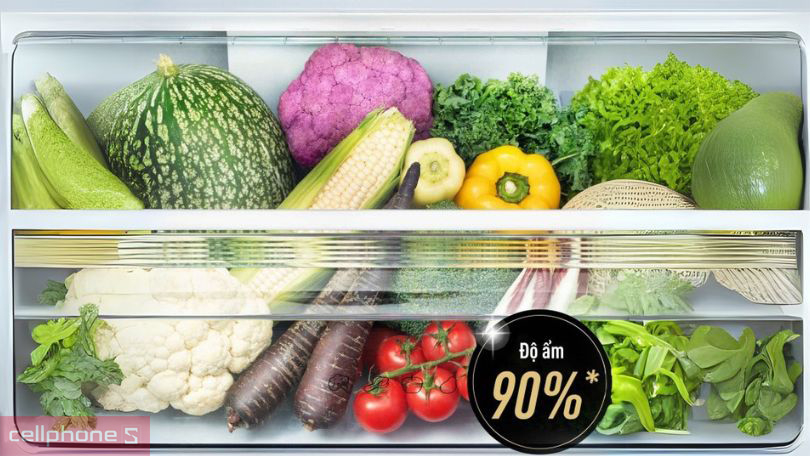 Thiết kế tủ lạnh Panasonic Inverter NR-BX421GPKV 377 Lít