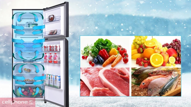 Công nghệ diệt khuẩn hiệu quả của tủ lạnh Panasonic Inverter NR-TL381VGMV 366 lít