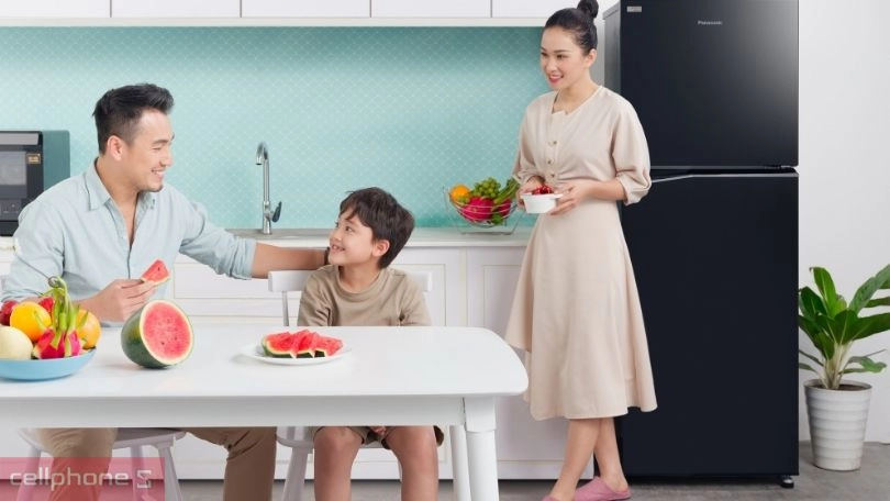 Thiết kế tủ lạnh Panasonic Inverter NR-TV261APSV 234 lít