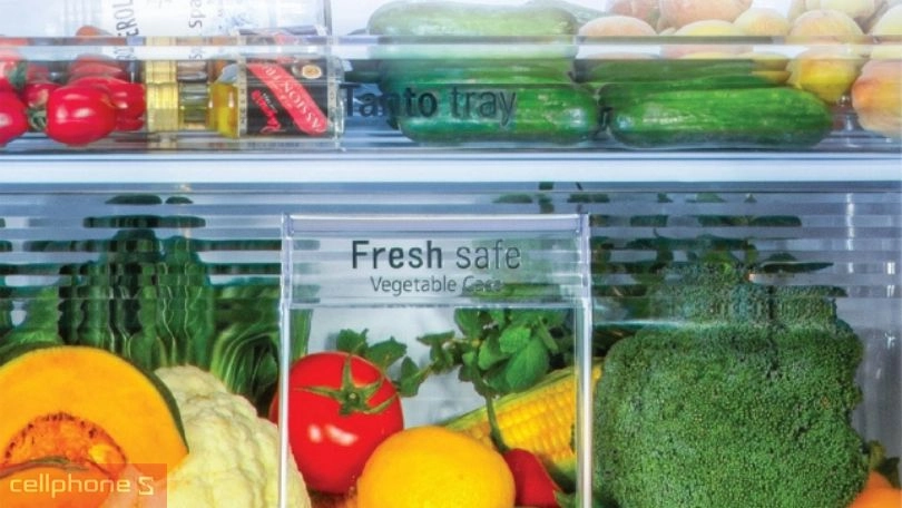 Công nghệ bảo quản của tủ lạnh Panasonic Inverter NR-TV261APSV 234 lít