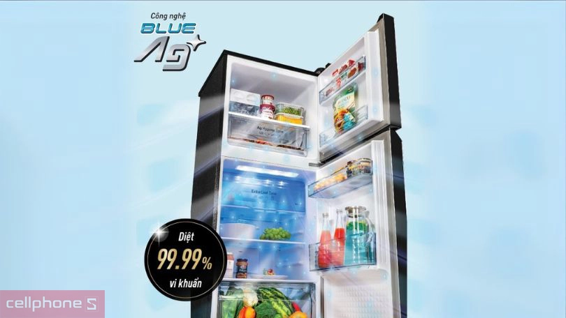 Công nghệ khử khuẩn, ánh sáng xanh của tủ lạnh Panasonic Inverter NR-TV301VGMV 268 Lít