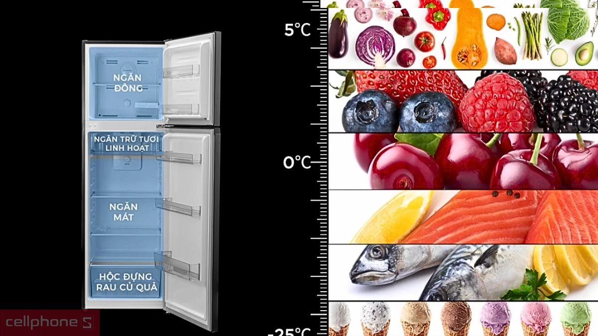 Hệ thống bảo quản tủ lạnh Sharp Inverter 247 lít SJ-X270V-SL