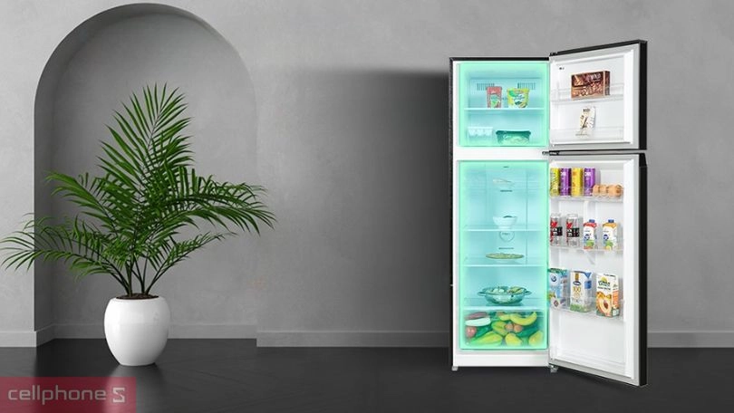 Dung tích chứa rộng rãi của tủ lạnh Toshiba GR-RT416WE-PMV(58)-MM 312 lít