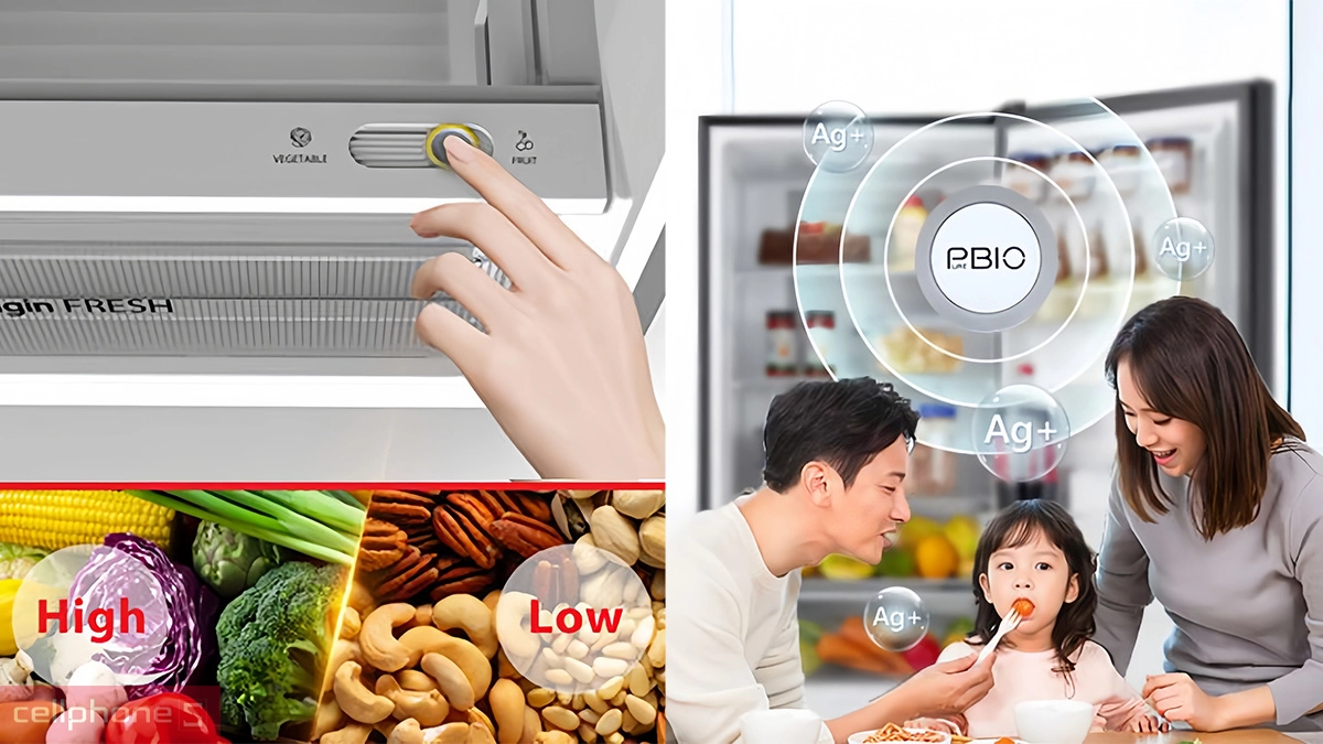 Origin Fresh tủ lạnh Toshiba Inverter 311 lít (GR-RT395WE-PMV(06)-MG)