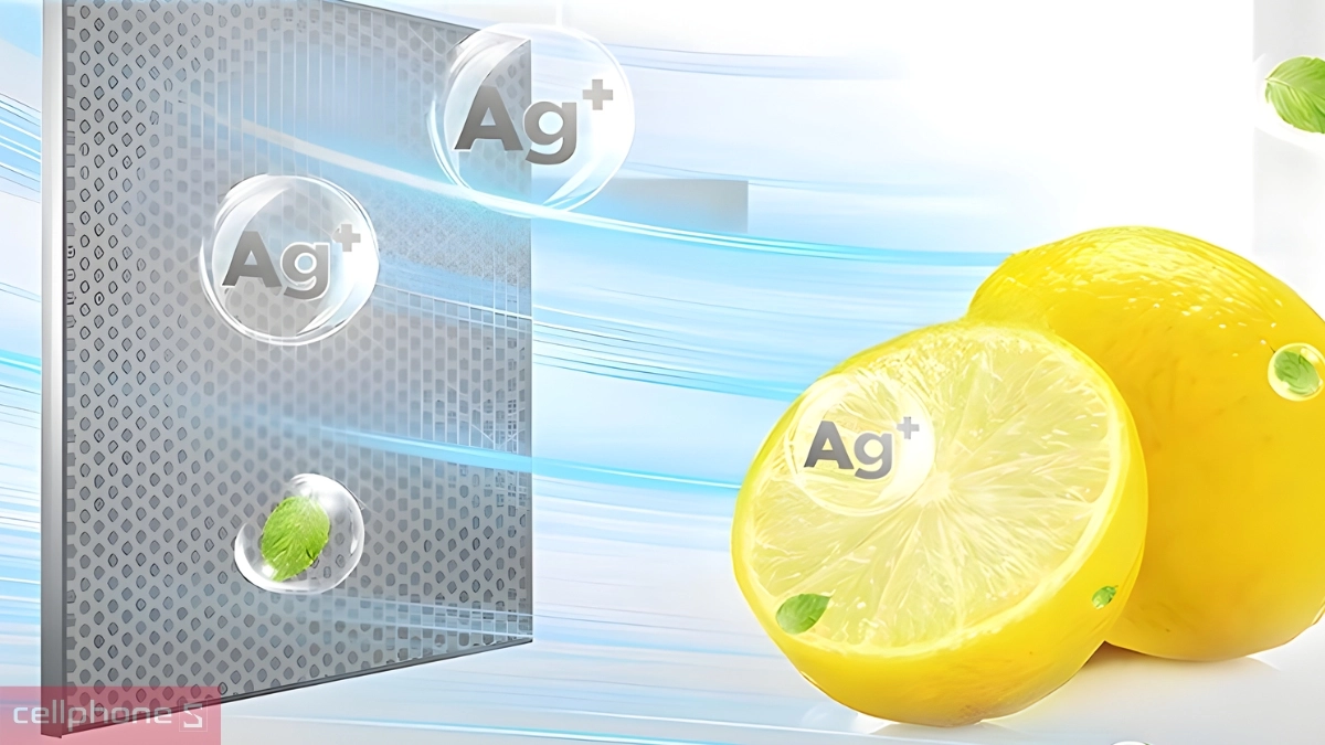 Khả năng bảo quản tủ lạnh Toshiba Inverter 321 lít GR RB405WEA PMV 06 MG