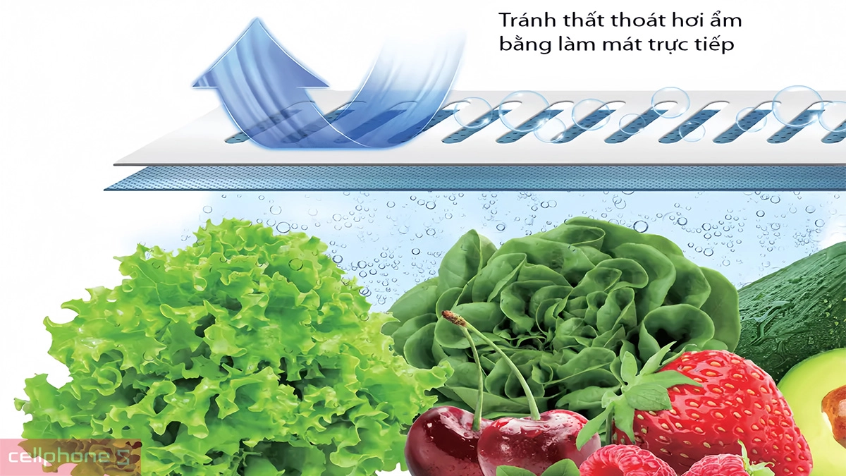 Khả năng bảo quản thực phẩm tối ưu của tủ lạnh Toshiba Inverter 533 lít Multi Door (GR-RF690WI-PGV(67))