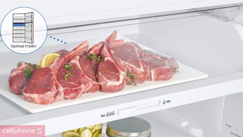 Khả năng bảo quản của tủ lạnh Samsung Inverter Bespoke RT31CB56248ASV 305 lít