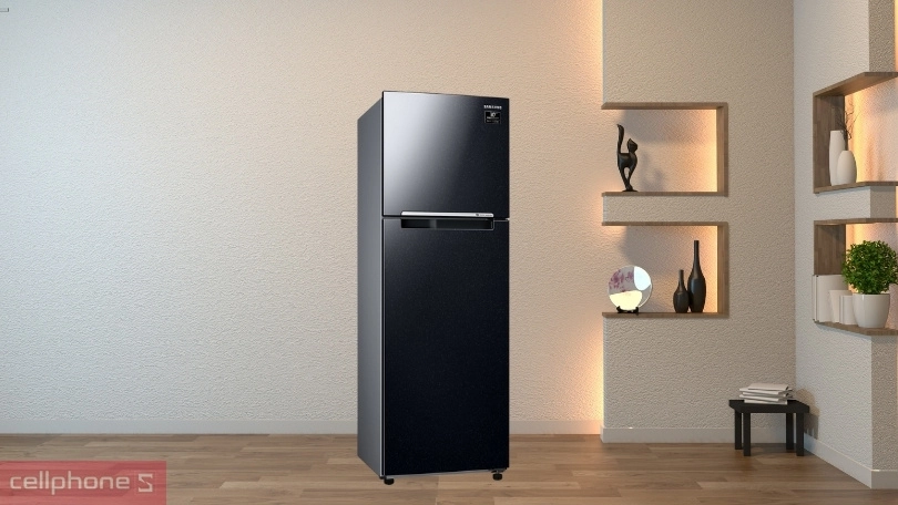 Khả năng bảo quản của tủ lạnh Samsung Inverter RT25M4032BU/SV 256 Lít