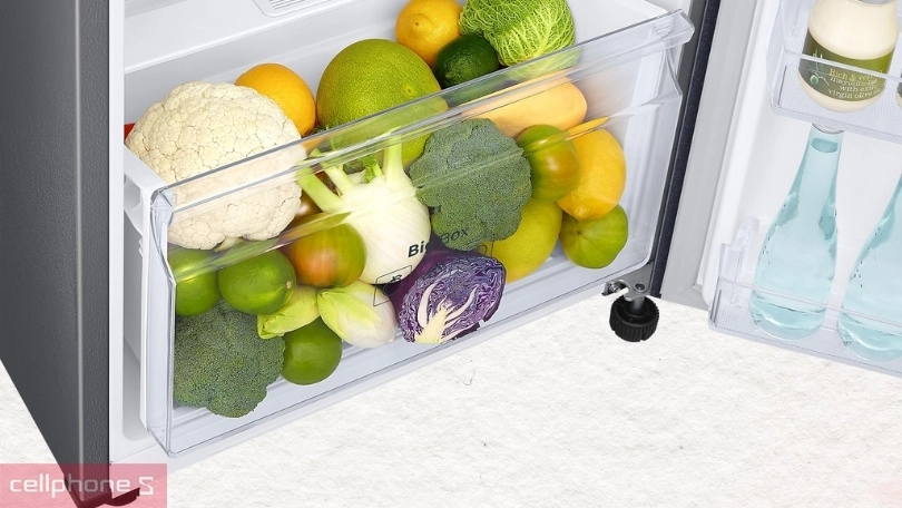 Thiết kế tủ lạnh Samsung Inverter RT25M4032BU/SV 256 Lít