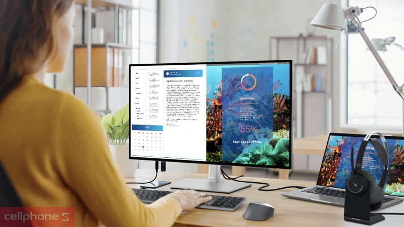 Màn hình Dell 60hz