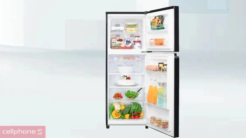Tủ lạnh ngăn đá trên có bao nhiêu dung tích?